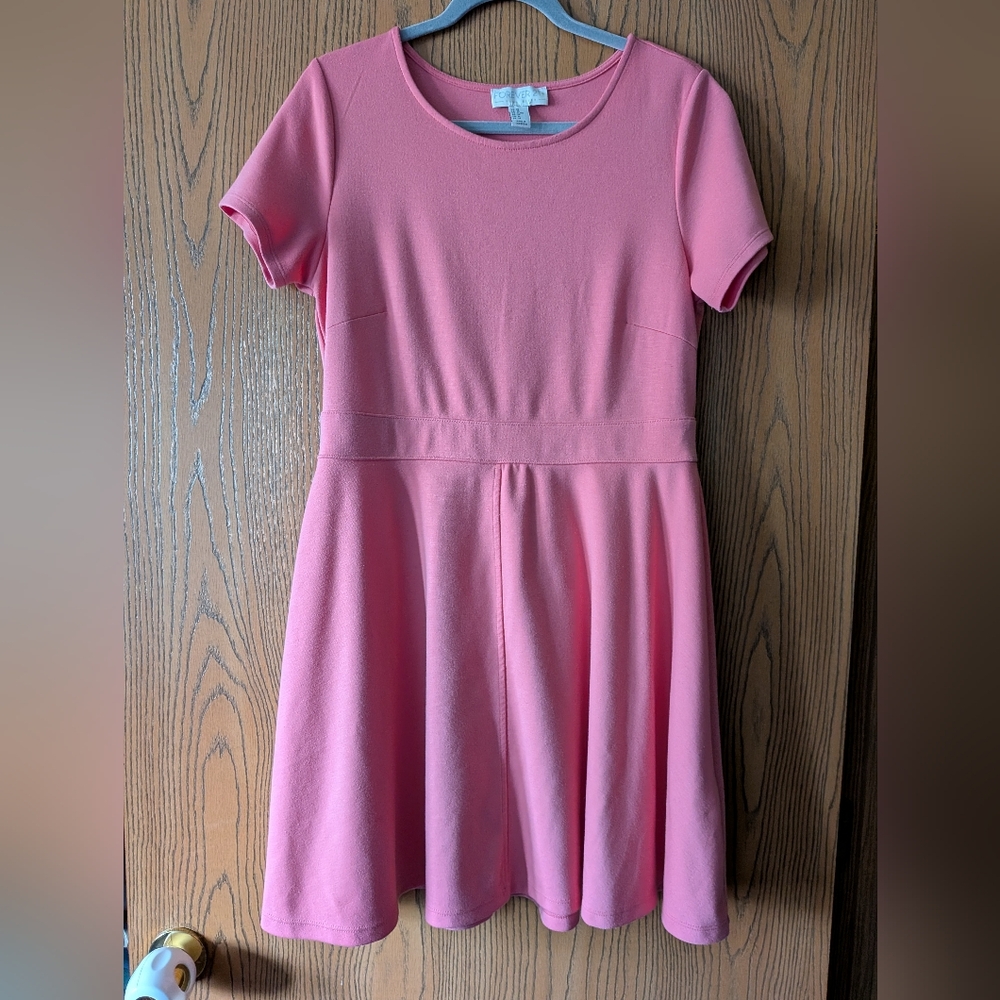 Forever 21 Short Sleeve Pink Dress | XL